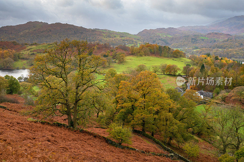 来自湖区国家公园Loughrigg Fell的秋色